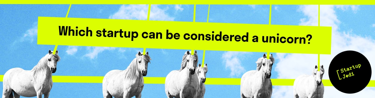 Which startup can be considered a unicorn? 