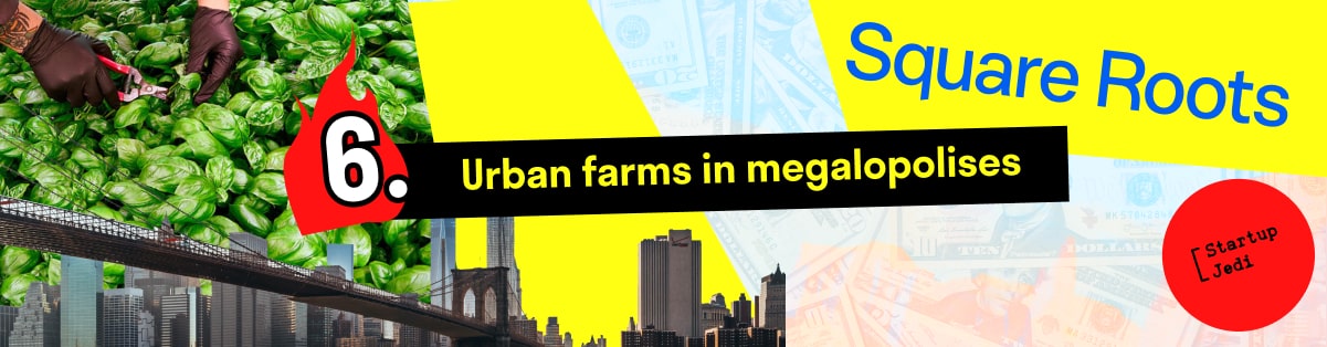 6. Urban farms in megalopolises 