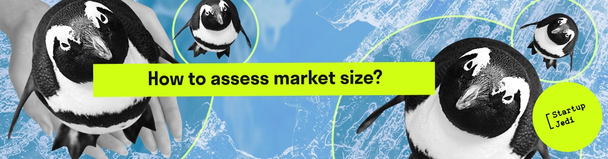 How to assess market size?